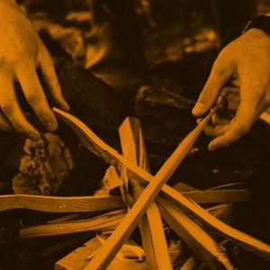 Article covid survival guide